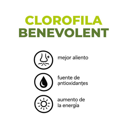 Clorofila Detox Glow 60ml