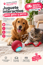Pelota Interactiva 360° PetPlay